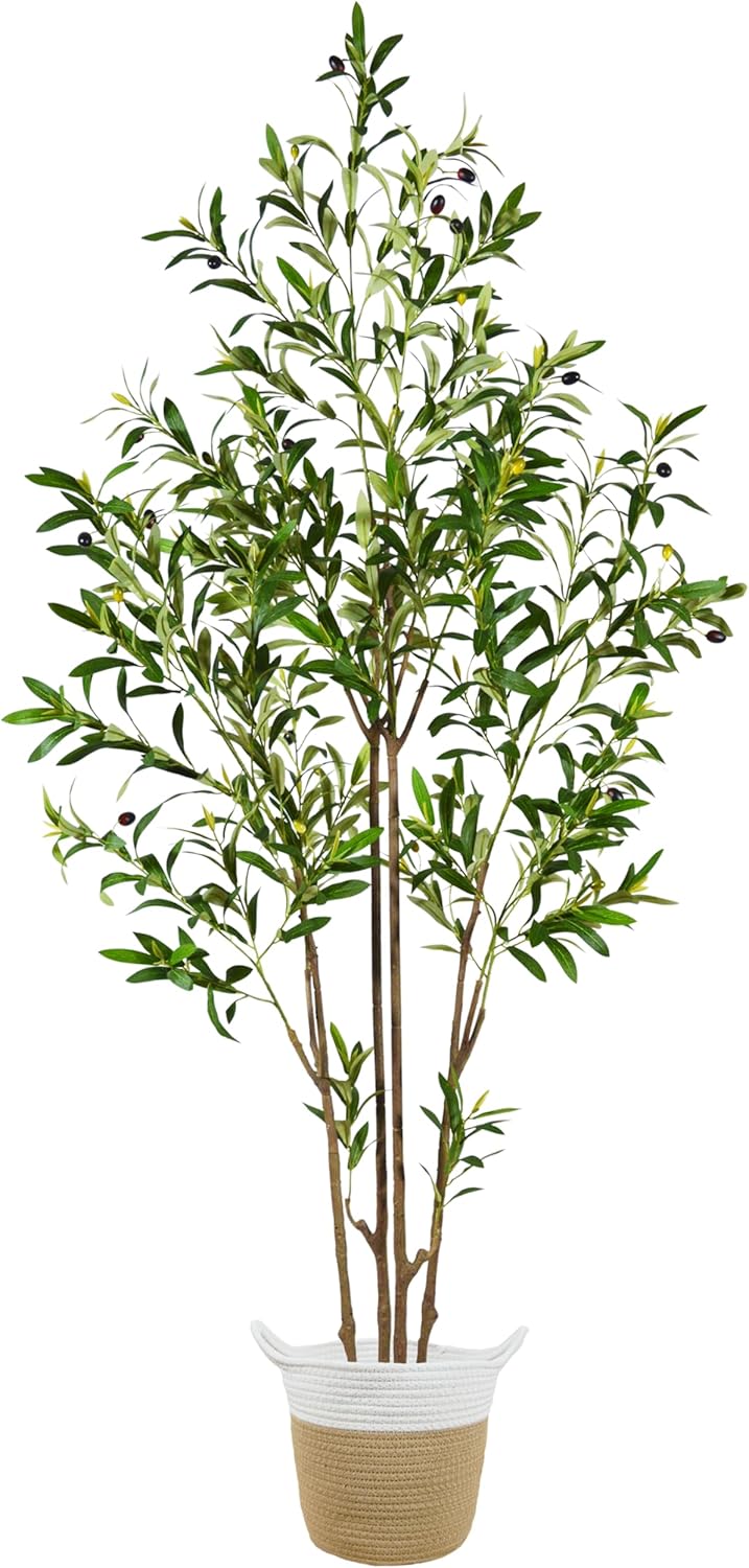 Warmplants 6ft (71”) Artificial Olive Tree, Tall Fake Olive Plant with Basket, Faux Olive Silk Tree for Mordern Indoor Home Livingroom Office Floor Corner Décor
